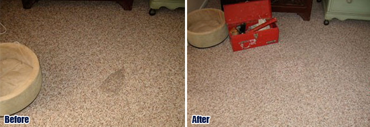 Carpet Repair Santa Monica CA