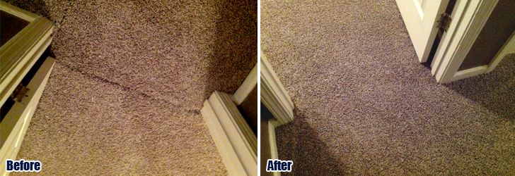 Carpet Seam Repair Santa Monica CA