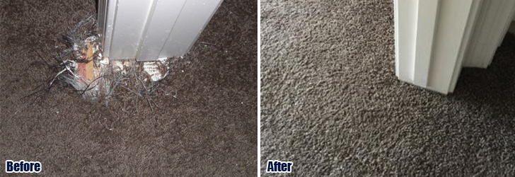 Pet Damaged Carpet Repair Santa Monica CA